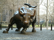 toro de wall street, new york